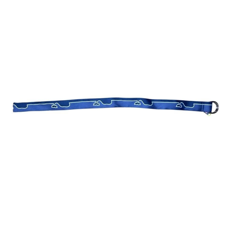 Vineyard Vines Embellished Stars D-Ring Belt mb2